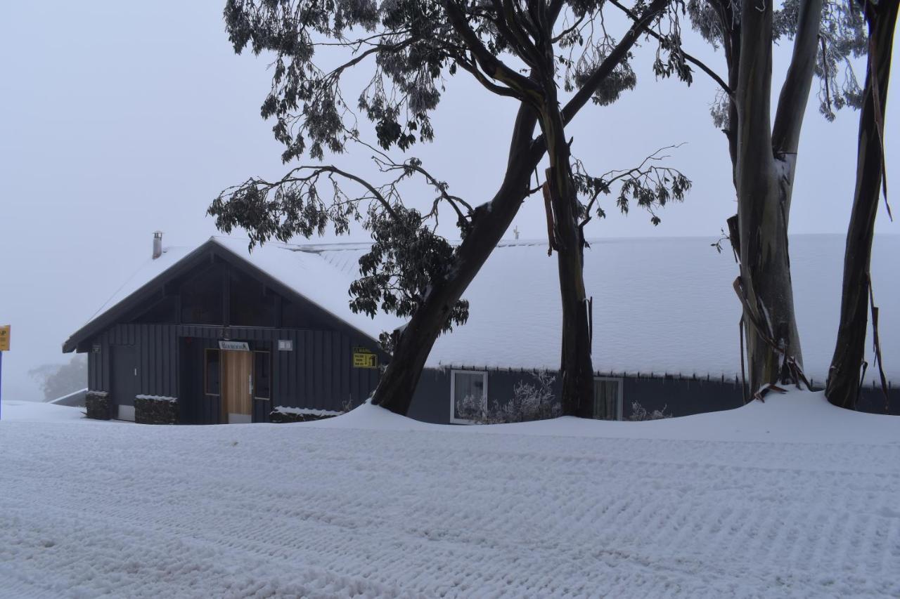 Cooroona Alpine Lodge Falls Creek Esterno foto